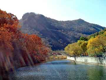 管家婆黑白马报图库，晶锐油耗